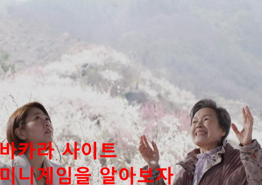 바카라 사이트